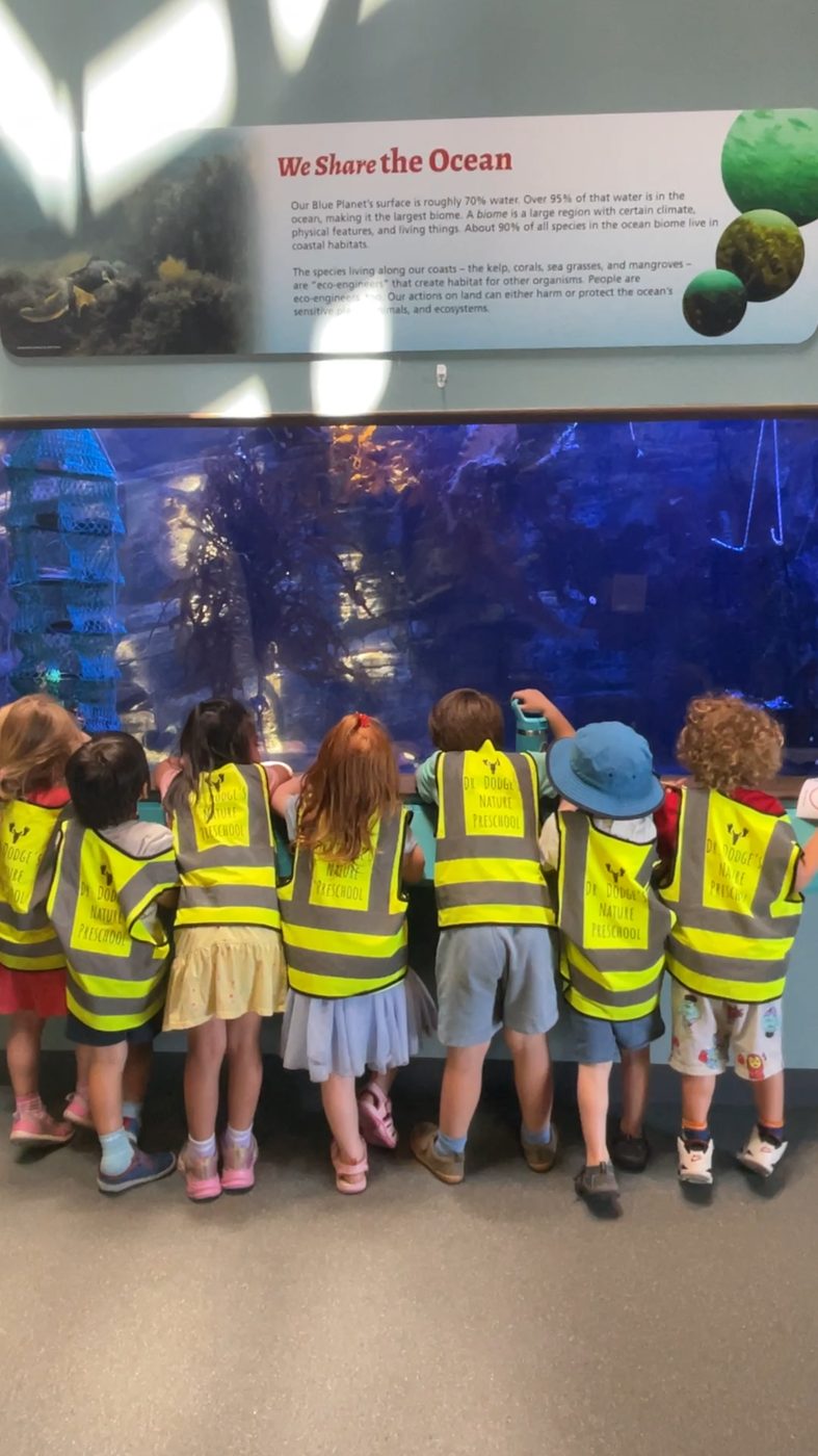 Children in school vests look into a large aquarium tank
