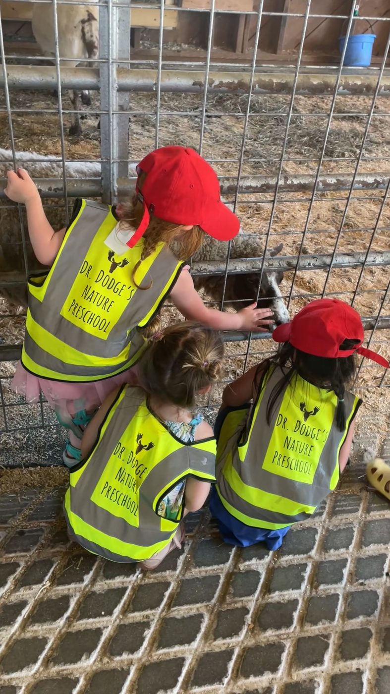 Children pet a goat through the fence at a farm