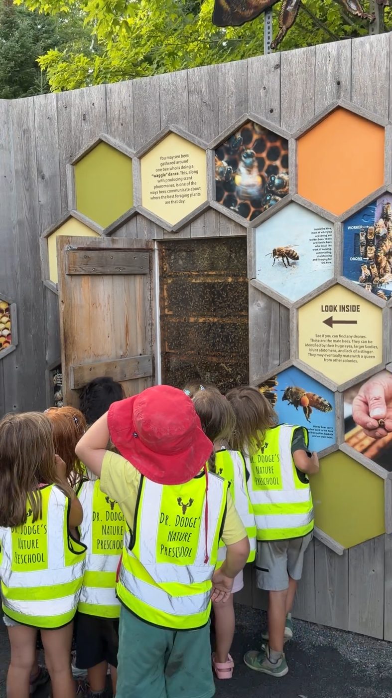 Children peer into an observation beehive exhibit