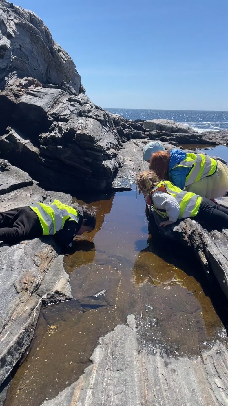 Children lie on coastal rocks peering into a tide pool with the ocean beyond